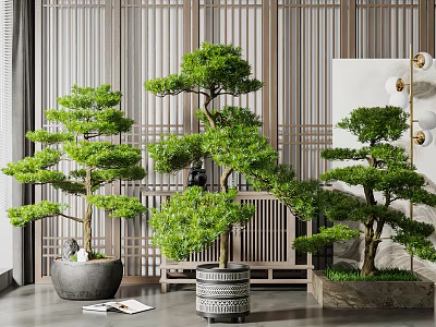 Elegant Indoor Bonsai Trees Display With Wooden Grille Background And Decorative Planters 3d model