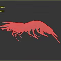 Detailed 3D Rendered Aquatic Animal Shrimp With Reddish Brown Color Long Antennae On Gray Background