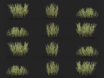 Different Green Herb Plants Arranged in Various Shapes on Black Background 3d model
