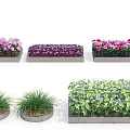Road Side Facilities With Rectangular Circular Flower Beds And Purple Pink Green Plants 3d model
