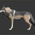 Stylized Low Poly 3D Wolf Model With Gray Beige Fur Standing Pose