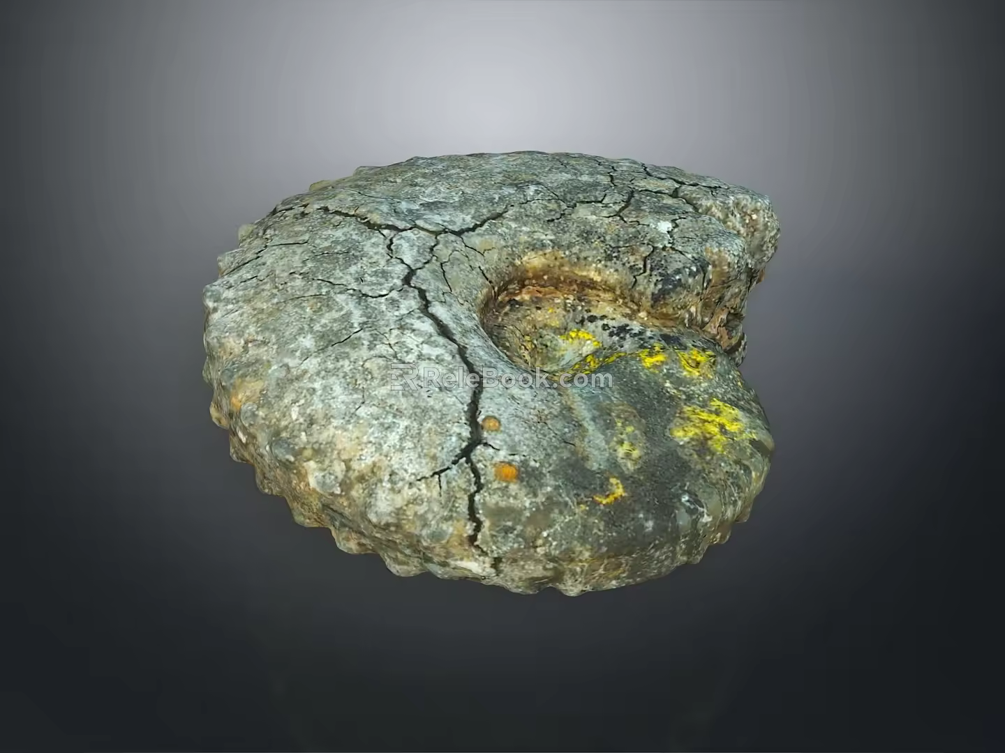 Chi chrysanthemum stone ancient fossil stone chrysanthemum fossil items 3d model