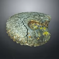 Chi chrysanthemum stone ancient fossil stone chrysanthemum fossil items 3d model