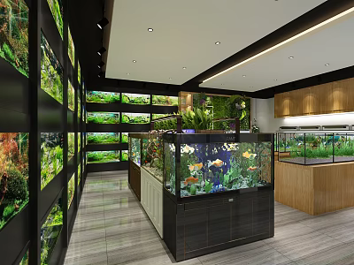Modern Aquarium Showroom Interior With Multiple Fish Tanks And Aquatic Plants 3d model