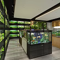 Modern Aquarium Showroom Interior With Multiple Fish Tanks And Aquatic Plants