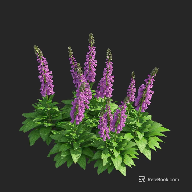 Purple Foxglove Flowers with Green Leaves Growing in a Vibrant Cluster 3d model 