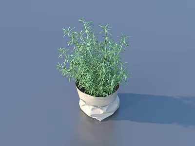 vegetable leaf food 3d model