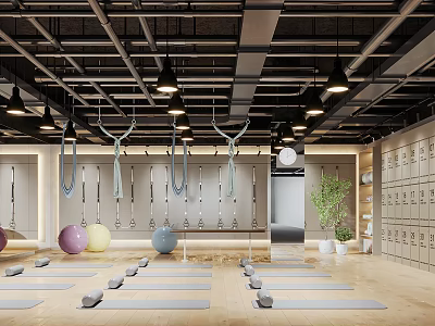 Spacious Yoga Fitness Studio With Aerial Hammocks Exercise Balls And Yoga Mats 3d model