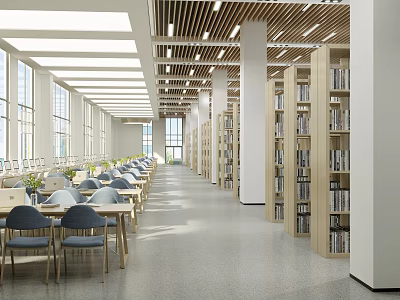Bright Library Interior Design With Bookshelves Chairs And Large Windows 3d model
