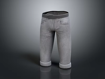 Grey Cropped Pants With Cuffed Hems Two Front Pockets Casual Style For Daily Wear 3d model