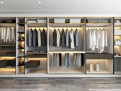 Modern Wardrobe Interior Design With Hanging Sections Folded Clothes And Drawers 3d model