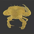 Detailed Brown Copper Colored Crab With Hard Shell Claws And Legs As Aquatic Animal