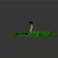 snake cobra venomous snake python reptile cold-blooded animal reptile 3d model