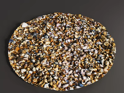 Modern Beach Shell 3d model
