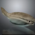 Unique Fish 3D Model With Streamlined Body Light Brown And Blue Colors