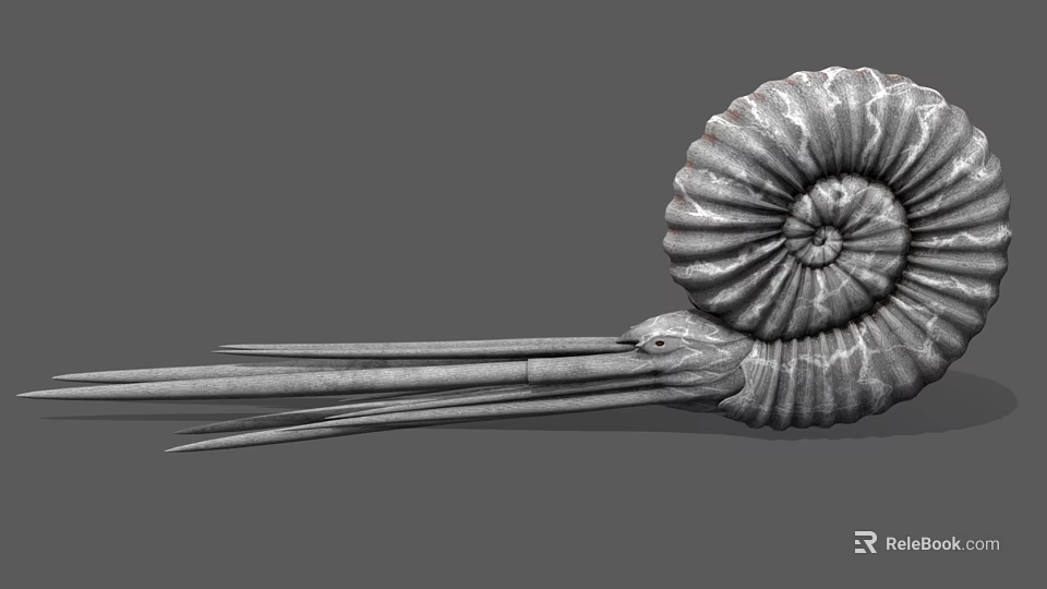Aquatic Animal Ammonite With Spiral Shell And Long Tentacles 3D Model Structure 3d model