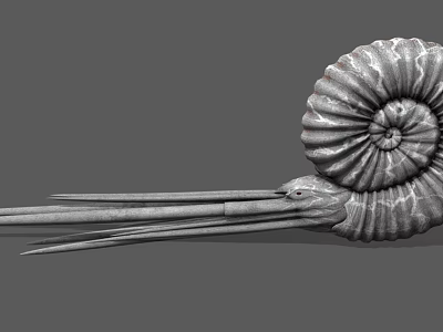 Aquatic Animal Ammonite With Spiral Shell And Long Tentacles 3D Model Structure 3d model