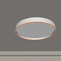 Round White Modern Ceiling Light With Soft Illumination And Sleek Design 3d model
