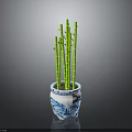 Blue And White Porcelain Pot With Green Bamboo For Home Decoration