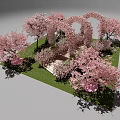Cherry Blossom Archway Surrounded by Pink Trees and Green Grass with Steps