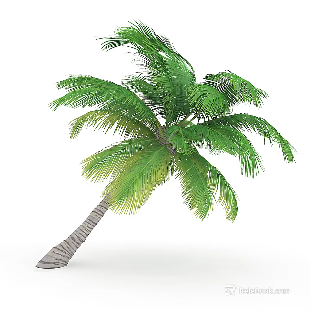 Palm Tree With Lush Green Fronds And Curved Trunk In Natural Growth 3d model 