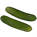 Fresh Green Organic Cucumbers with Striped Skin on White Background