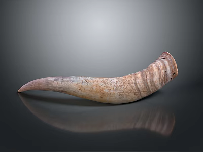 Intricately Carved Horn Sculpture With Natural Texture And Smooth Surface 3d model