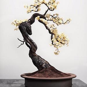 Bonsai 3d model