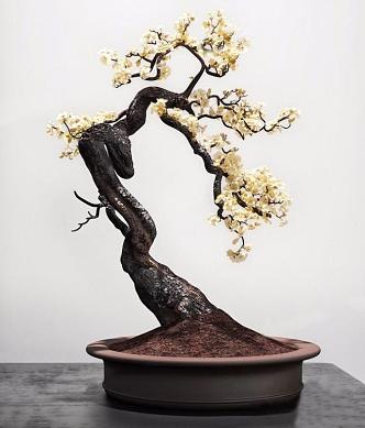 Bonsai 3d model