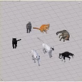 Various Colored Cats in Different Playful Poses and Positions