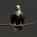 Majestic Bald Eagle Perched On Wooden Branch With White Head And Yellow Talons