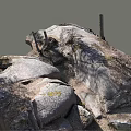 Natural Outdoor Scene Featuring Large Stones And Wooden Posts With Dirt And Wild Grass