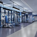 Modern Gym Interior With Multiple Fitness Equipment And Bright Space