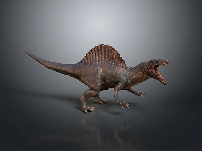 Realistic Spinosaurus Dinosaur Character With Open Mouth And Sailback Structure In 3D Render 3d model