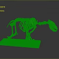 Detailed Animal Skeleton Model On Blue Base Showing Anatomical Structure Features 3d model