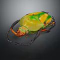 Colorful Flying Beetle with Yellow Green Orange Hues Large Horns Long Legs on Dark Background