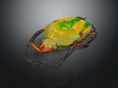 Colorful Flying Beetle with Yellow Green Orange Hues Large Horns Long Legs on Dark Background 3d model
