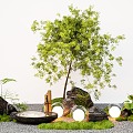 modern arbor modeling tree willow green plant sketch micro-topography 3d model