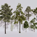 Various Arbor Tree Species With Diverse Foliage And Heights For Landscape 3d model