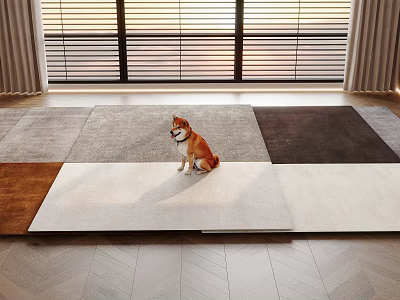 Different Color Square Rugs with Shiba Inu Sitting on Wooden Floor and Window Curtains 3d model