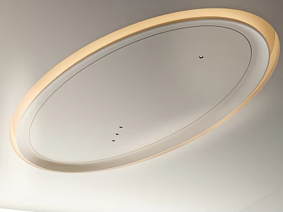 Ceiling Modern Ceiling Oval Ceiling Special-shaped Ceiling Light Luxury Ceiling 3d model