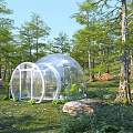 Transparent Dome Structures In Forest With Green Grass And Trees 3d model