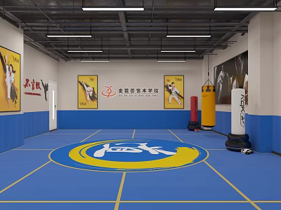 Martial Arts Classroom 3D Model 3d model Martial Arts Classroom 3D Model 3d model