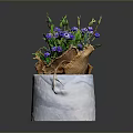 Vibrant Purple Flowers in White Pot with Burlap Wrap and Green Foliage