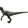 Gray Dinosaur With Red Eyes In Standing Posture Long Tail And Detailed Skin Texture