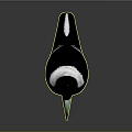 Black and White Bird with Green Beak Red Eyes Grey Claws Standing on Grey Background