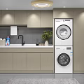 Modern Bathroom Cabinetry with Countertop Sink Stacked Washer Dryer and Potted Plant