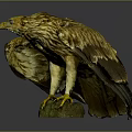 Golden Brown Eagle Perched On Stone Base With Spread Wings And Detailed Feathers