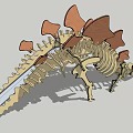 Detailed Stegosaurus Dinosaur Skeleton Model With Back Plates And Bone Structure 3d model
