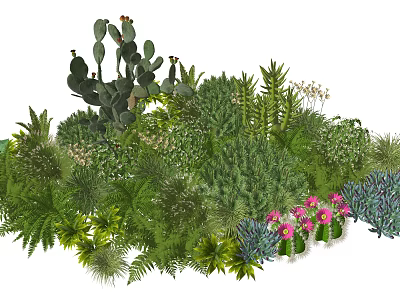 Lush Diverse Plant Combination With Cactus Ferns Green Foliage And Pink Flowers 3d model